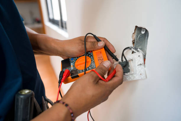 Best Affordable Electrician  in La Plata, MO