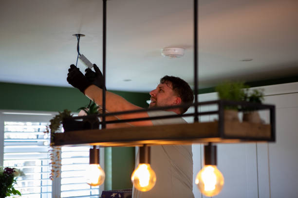 Best Electrical Upgrades for Homes  in La Plata, MO