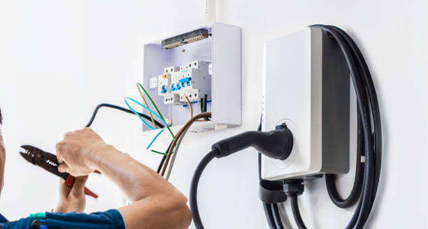 Best Electric Panel Repair  in La Plata, MO